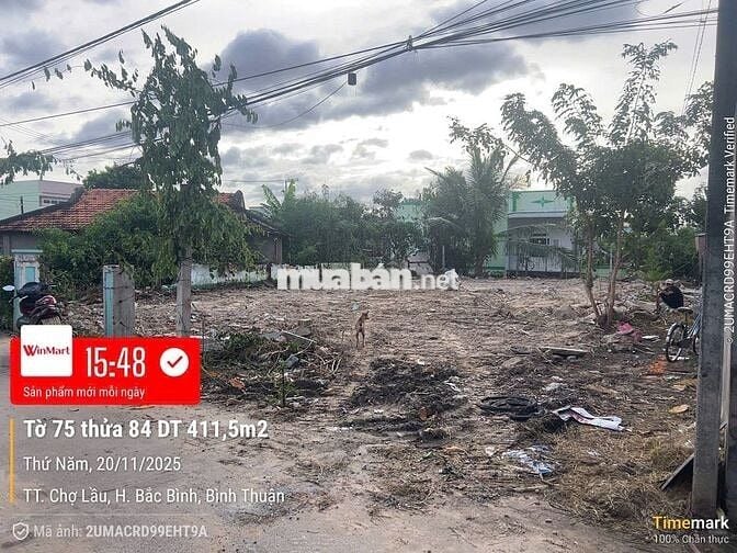 Bán Đất Vị Trí Đắc Địa Thị Trấn Chợ Lầu, Bắc Bình, Bình Thuận