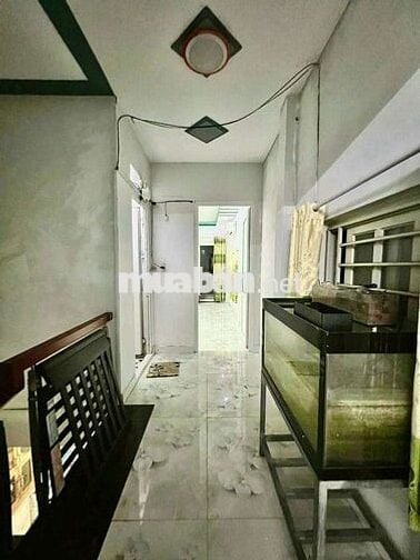 Nhà cho thuê hẻm 1/ quang trung gò vấp