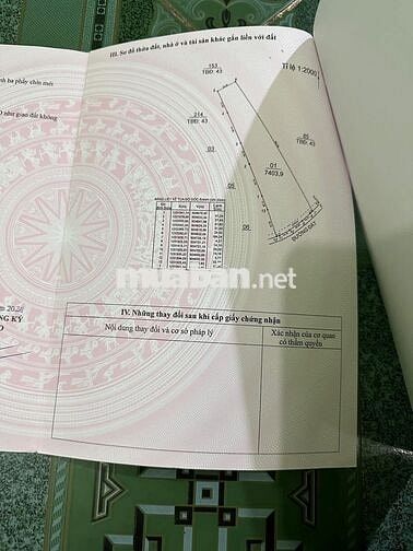 Khách Gửi Lô Đất Cao Su Diện Tích Hơn 7000m2