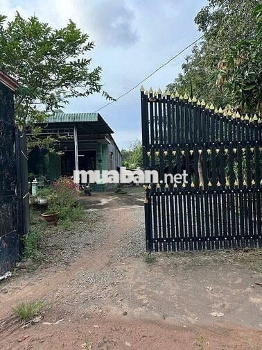 Khách Gửi Lô Đất Cao Su Diện Tích Hơn 7000m2