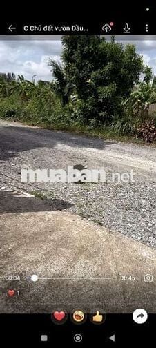 Bán đất vườn mặt tiền đường kênh thầy thuốc. DT 1101m2.