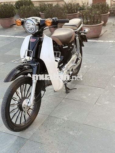 Cup 50cc 2022.đời cao đèn lead vành đúc mới 99%