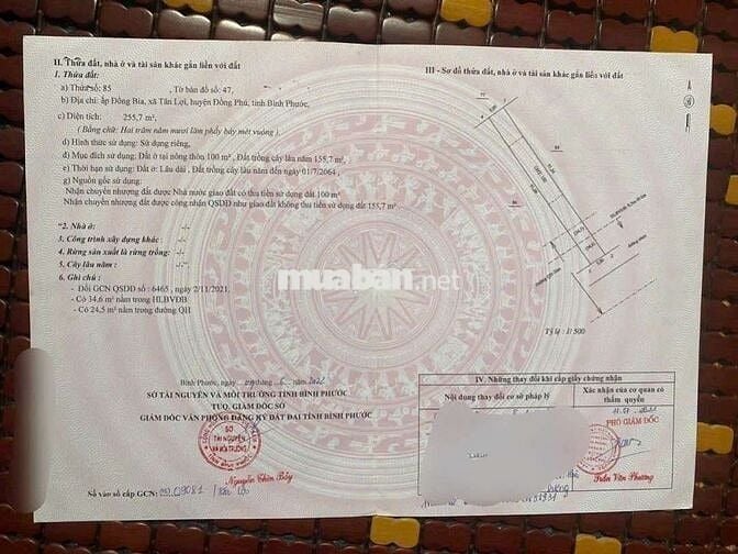 Cần tiền bán đất, giá cắt lỗ 67%