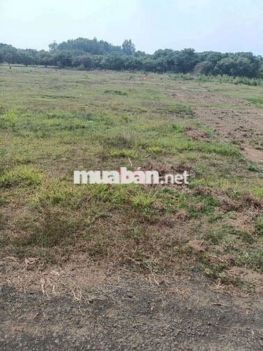 Cần tiền bán đất, giá cắt lỗ 67%