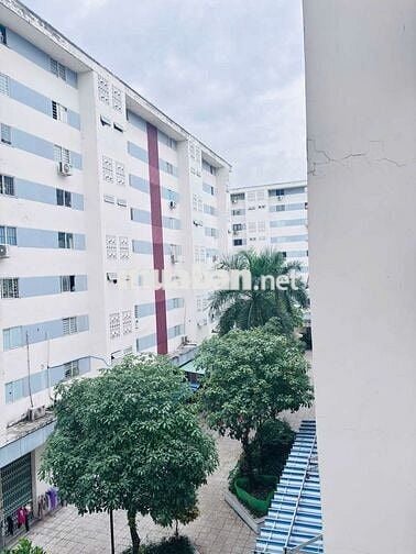 Căn hộ dịch vụ cho thuê diện tích 33mv