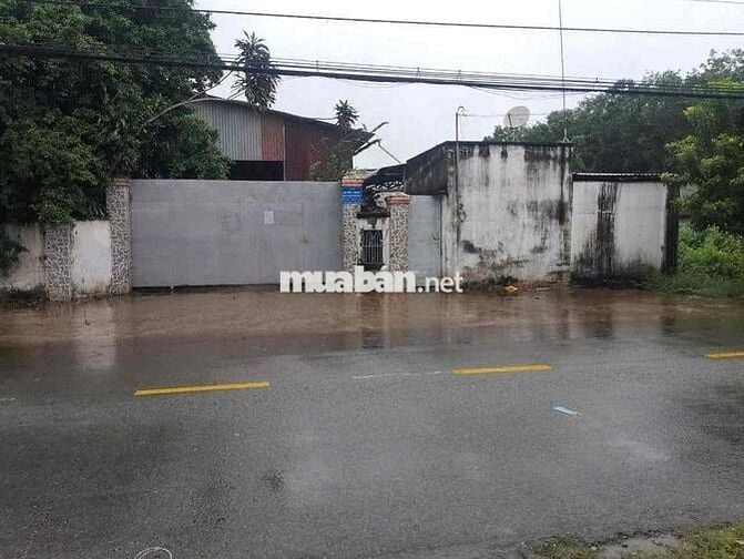 Bán Đất Tặng Xưởng 4520m2 Đường Xe Công Đang Hoạt Động