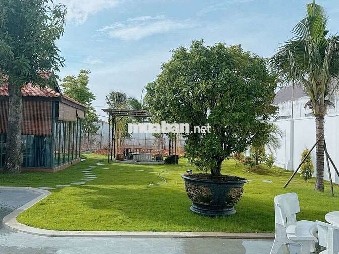 Bán nhà vườn tại Tân An Hội, Củ Chi, TPHCM