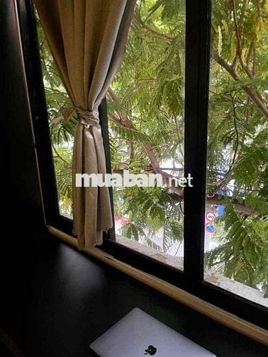 cho thuê phòng phong cách đông dương ở trung tâm Quận 3