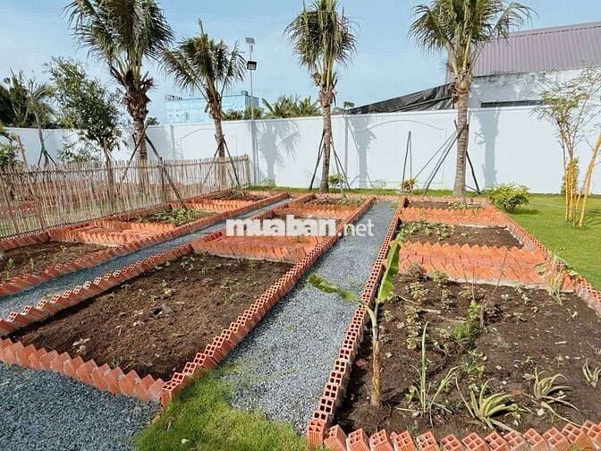 Bán nhà vườn tại Tân An Hội, Củ Chi, TPHCM