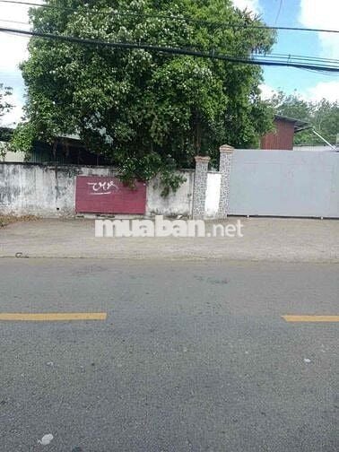 Bán Đất Tặng Xưởng 4520m2 Đường Xe Công Đang Hoạt Động