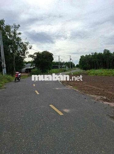 300m2+100Tc Đất hiếm mt nhựa cách DH 200m ra TTHC xã Phước Thành