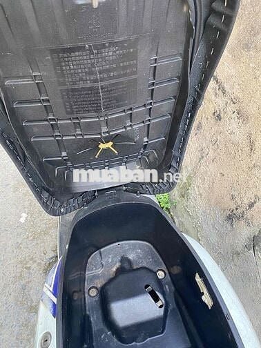 SYM Elite 50 Xanh trắng