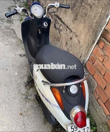 SYM Elite 50 Xanh trắng