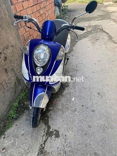 SYM Elite 50 Xanh trắng