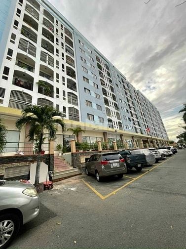 Ann cho thuê Cc Cửu Long balcony Đông thoáng mát giá 10 triệu có TL !