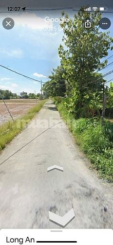 Đất Nền Tân Lân , Cần Đước Long An, chỉ 10tr/m2