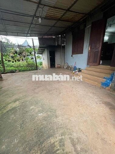 Nhờ A/e Mô Giới hỗ trợ bán Căn biệt thự 2 Mặt Tiền Nở Hậu