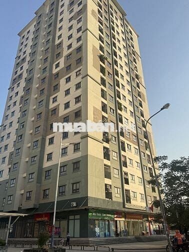 mặt bằng thương mại hiếm căn góc đẹp nhất toà 19tkinh doanh cực tốt