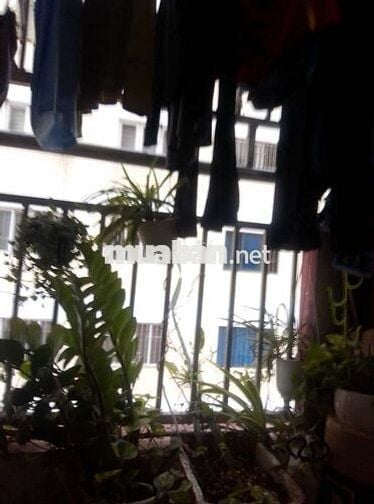 Bán căn hộ chung cư mỹ phước 1 phòng ngủ