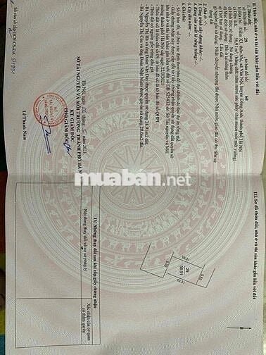 💥SỐC ĐẤT ĐÁU GIÁ VÂN NỘI ĐÔNG ANH.VIU HỒ ĐIỀU HÒA