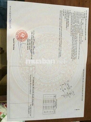 Đất thổ cư 2 mặt tiền đường, dân cư hiện hữu, xây dựng tự do