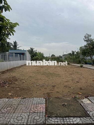 BÁN ĐẤT THỔ CƯ 7x22m (NỞ HẬU 7.5m) – BẾN LỨC, LONG AN