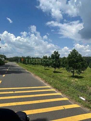 Đất thổ cư Tp.HCM - MT đường nhựa - Diện tích 250m². LH: 0823387478 