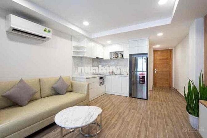 Cho thuê căn hộ 1PN quận 1 Trần Hưng Đạo full nội thất cửa sổ thoáng