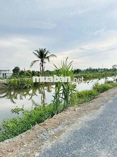 CĂN NHÀ VƯỜN 500m2 Giá 650 Triệu. xã Bình Đức