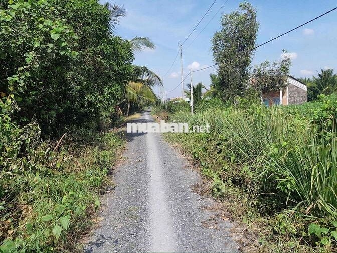 CĂN NHÀ VƯỜN 500m2 Giá 650 Triệu. xã Bình Đức