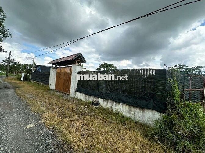 Nhà vườn đẹp 2ty8 Bình Mỹ Củ Chi