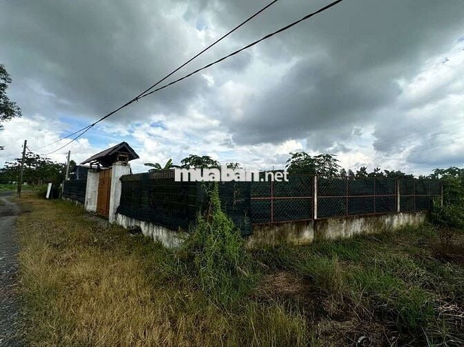 Nhà vườn đẹp 2ty8 Bình Mỹ Củ Chi