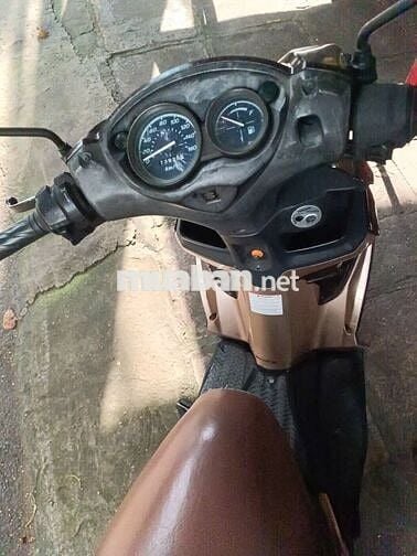 Suzuki Hayate 2012 Nâu