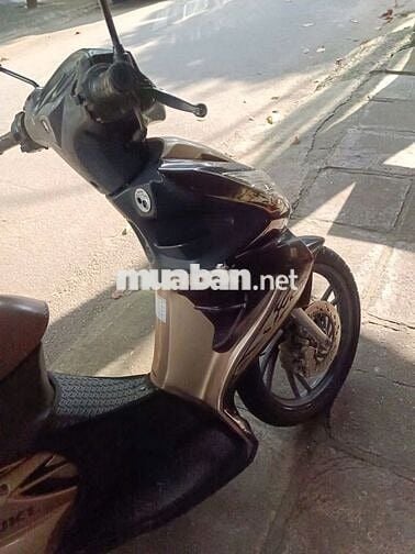 Suzuki Hayate 2012 Nâu