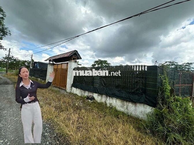 Nhà vườn đẹp 2ty8 Bình Mỹ Củ Chi