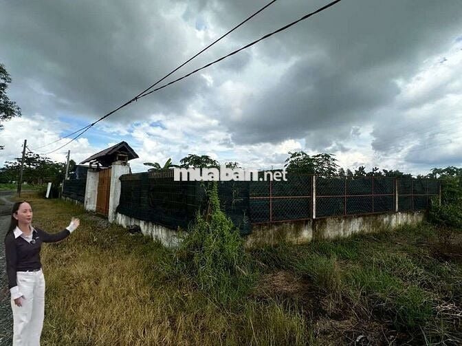 Nhà vườn đẹp 2ty8 Bình Mỹ Củ Chi