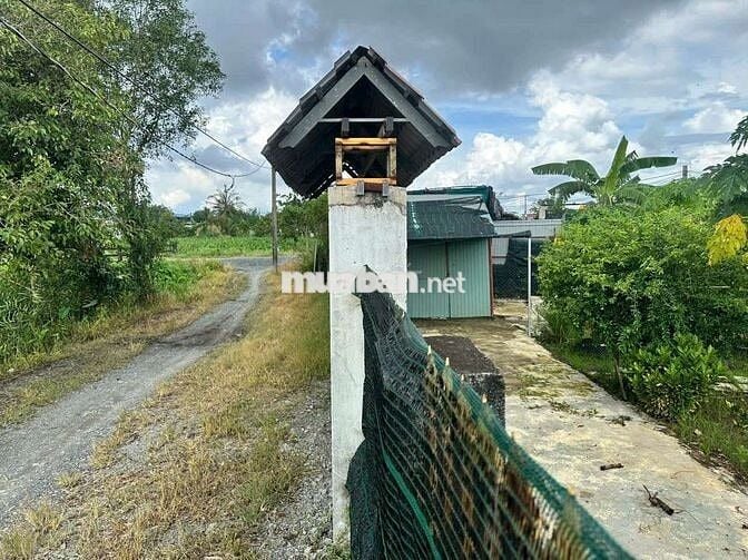 Nhà vườn đẹp 2ty8 Bình Mỹ Củ Chi