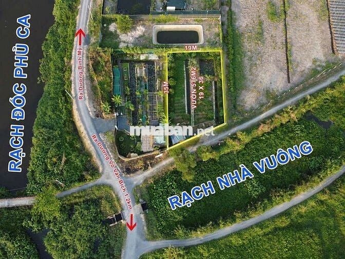 Nhà vườn đẹp 2ty8 Bình Mỹ Củ Chi