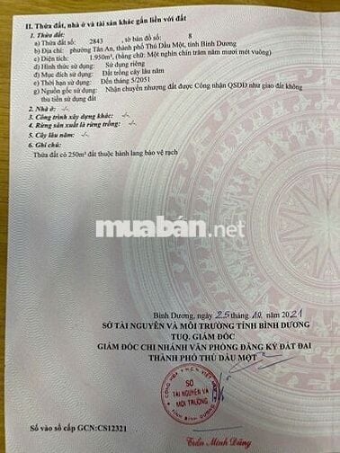 Đất vườn 2000m² có 160m² thổ cư, Phường Tân An, Bình Dương