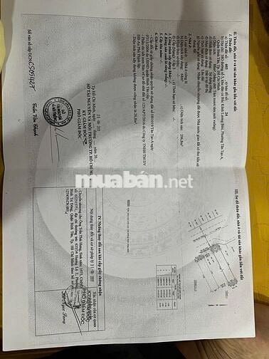 Bán CHDV 58-0 Đường số 5.Tân Tạo A.Bình Tân.thu nhập 20tr/th