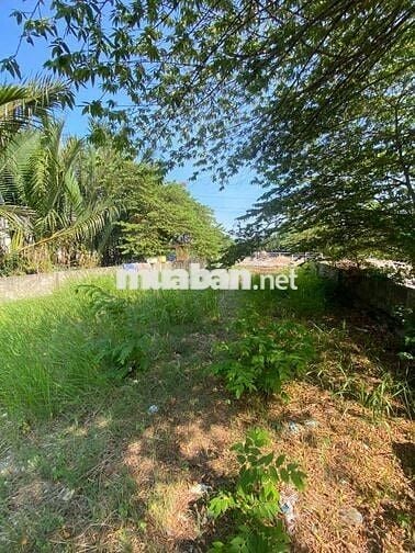 BÁN ĐẤT THỔ- 2 MẶT TIỀN- NGANG 8M- HXH 6M- LÊ VĂN LƯƠNG- GIÁ HƠN 6 TỶ