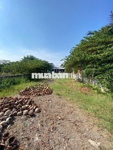 BÁN ĐẤT THỔ- 2 MẶT TIỀN- NGANG 8M- HXH 6M- LÊ VĂN LƯƠNG- GIÁ HƠN 6 TỶ