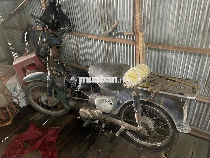Bán Gấp CUB 50 cc