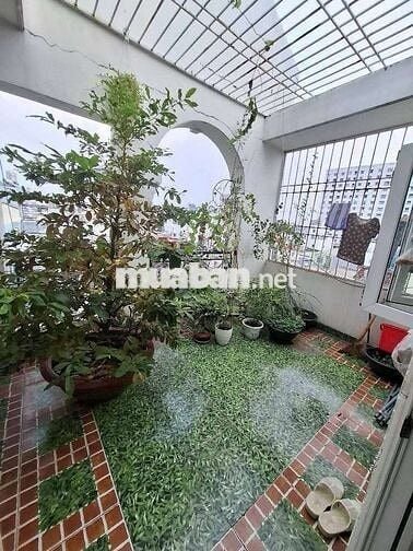 BÁN  NHÀ PHẠM VĂN BẠCH CỐNG LỞ PHƯỜNG TÂN SƠN TÂN BÌNH 70M² CHỈ 9.X TỶ