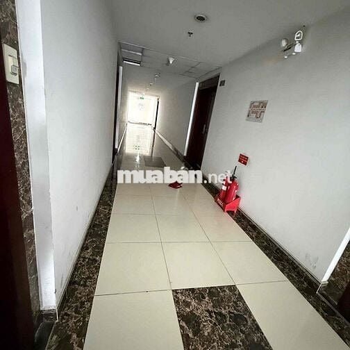 Chủ Cần cho thuê chung cư Pegasus đường 5, lầu 17 , Dt:70m2