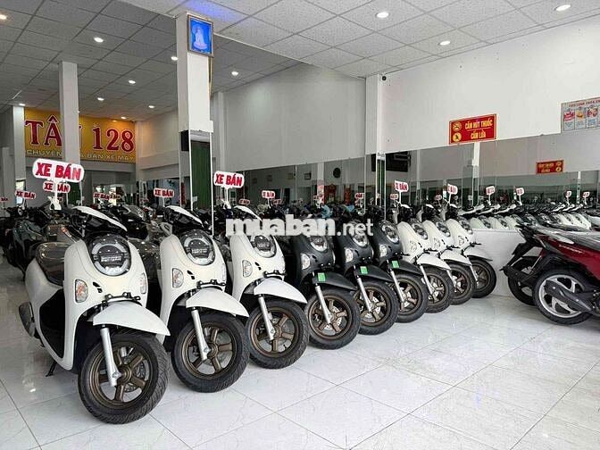 SCOOPY MỚI 2025