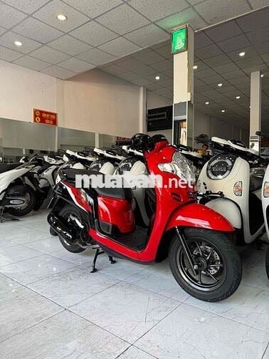 SCOOPY 2020. Xe Zin - Máy Zin Cực Êm. Giấy RG