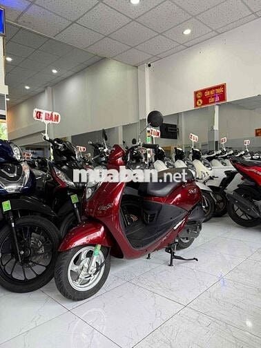 ELITE 50-2020. Zin Cọp. Odo 11k. Chủ Rạch Giá