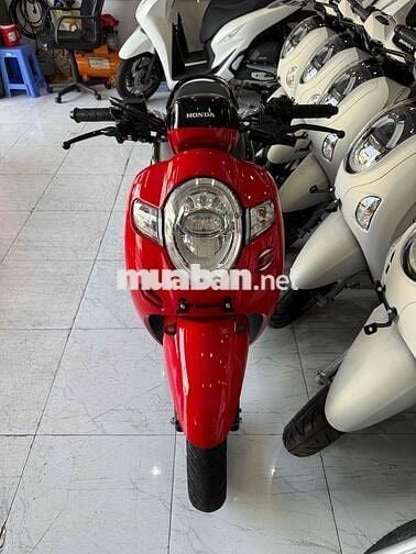 SCOOPY 2020. Xe Zin - Máy Zin Cực Êm. Giấy RG