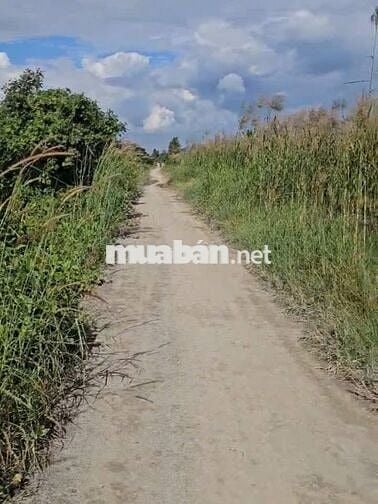 THỦ THỪA - QLN2 Đất Thổ Cư 166,6m2